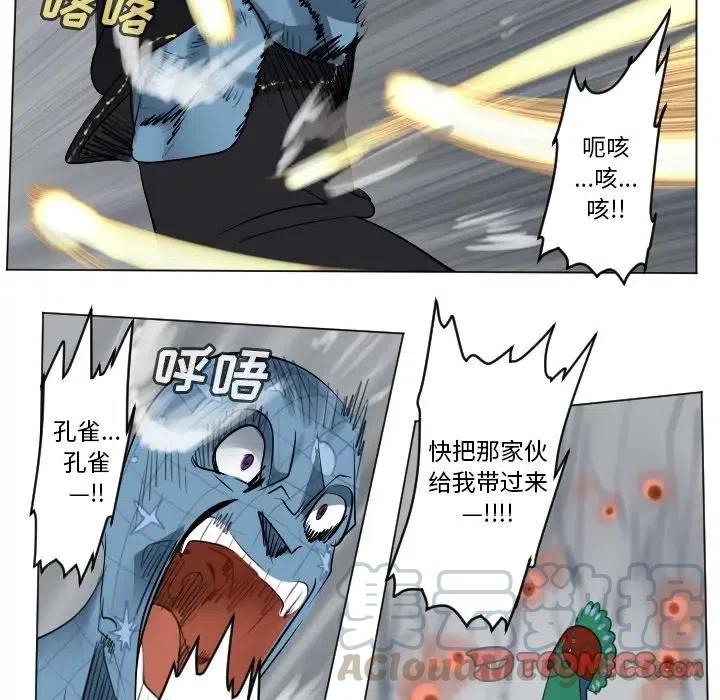 第 43 页