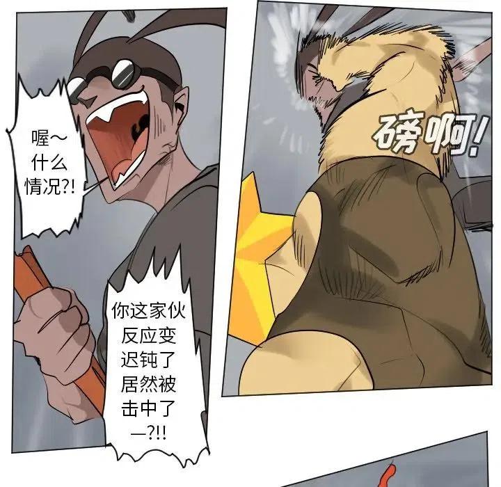 第 38 页
