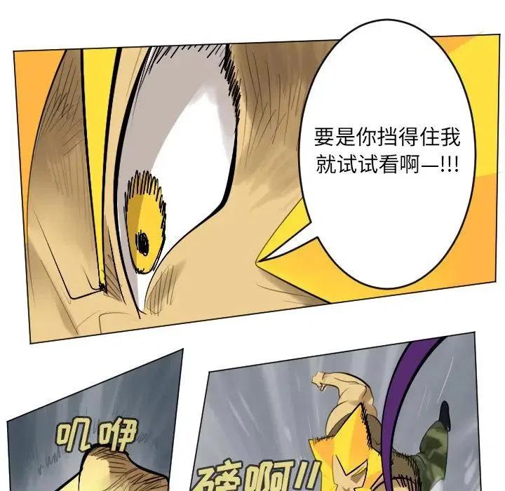 第 50 页