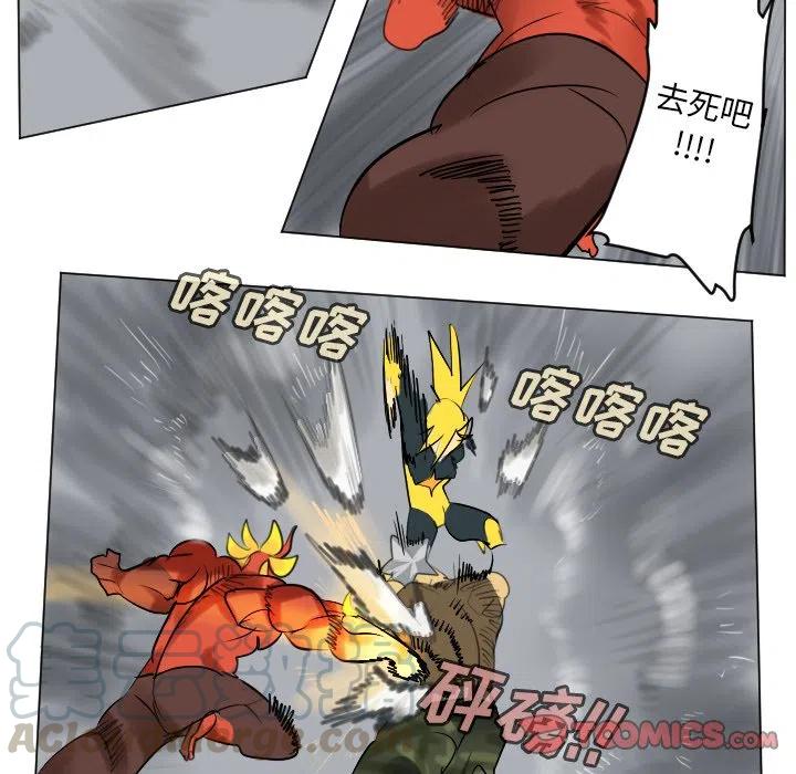 第 37 页