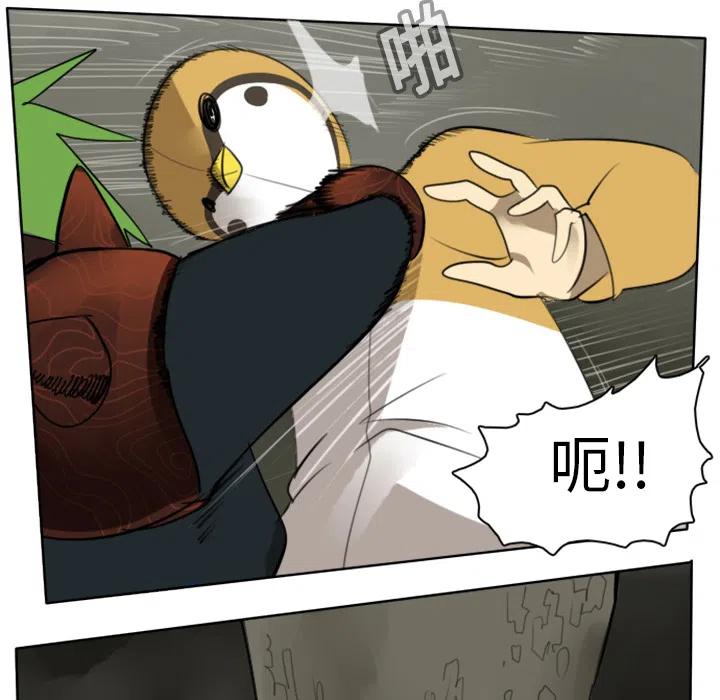 第 42 页