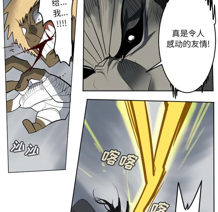 第 48 页