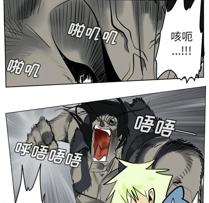 第 53 页