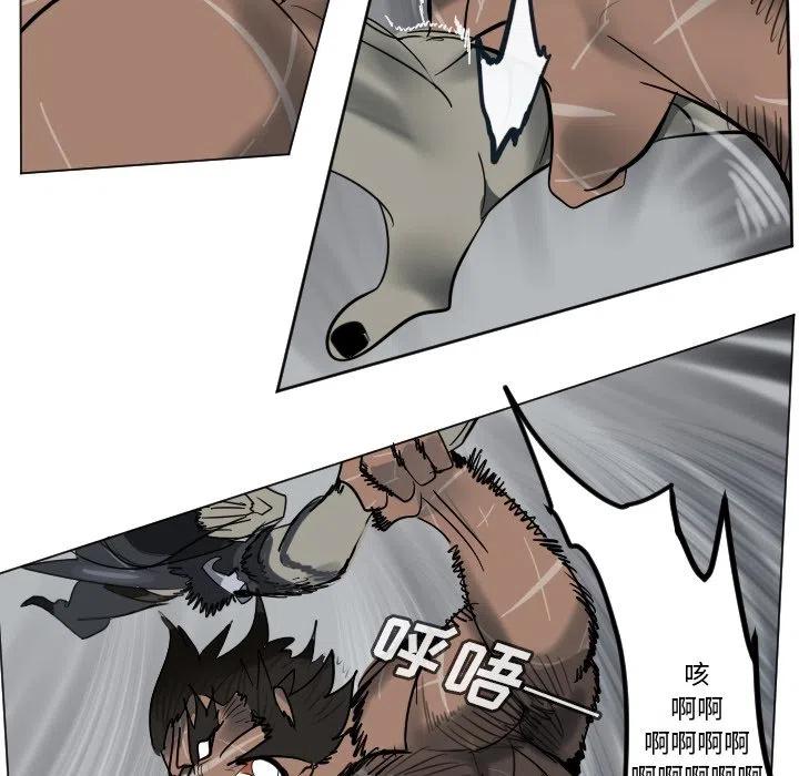 第 51 页