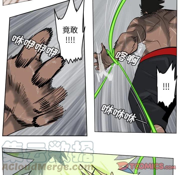 第 43 页
