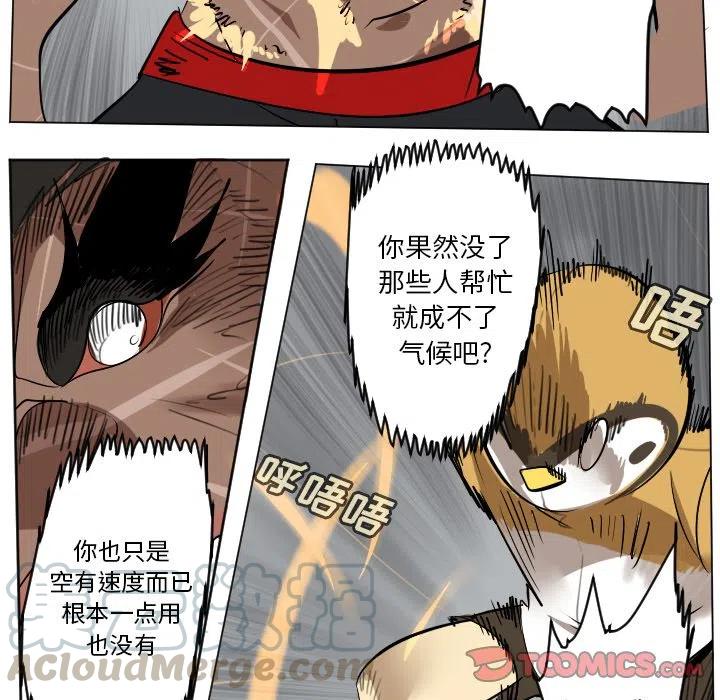 第 46 页