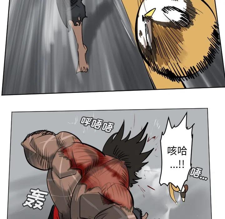 第 51 页