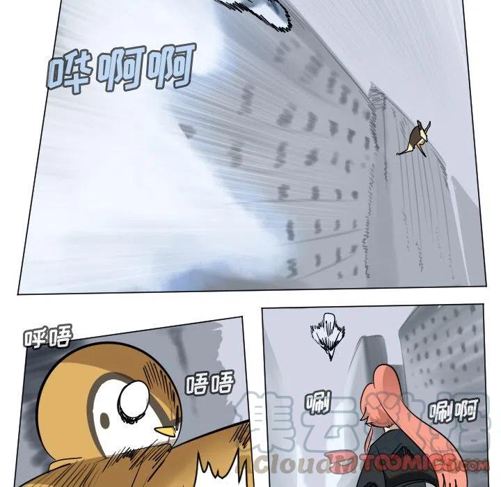 第 43 页