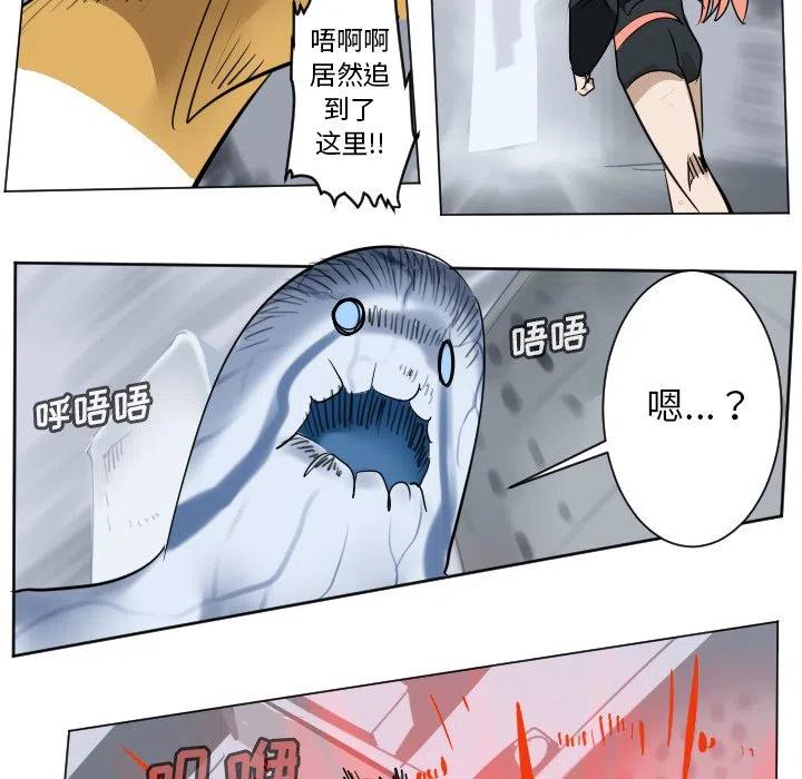 第 44 页