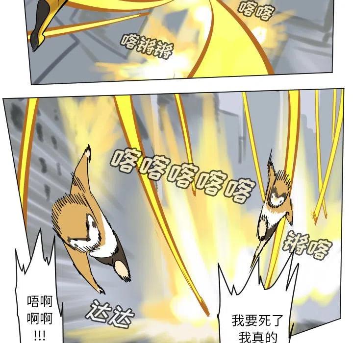 第 47 页