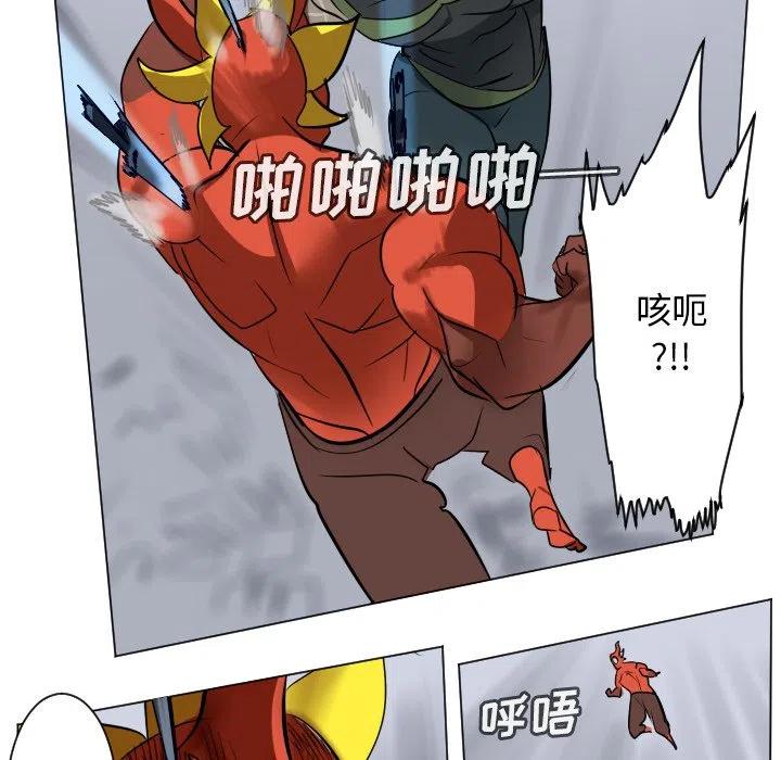 第 33 页
