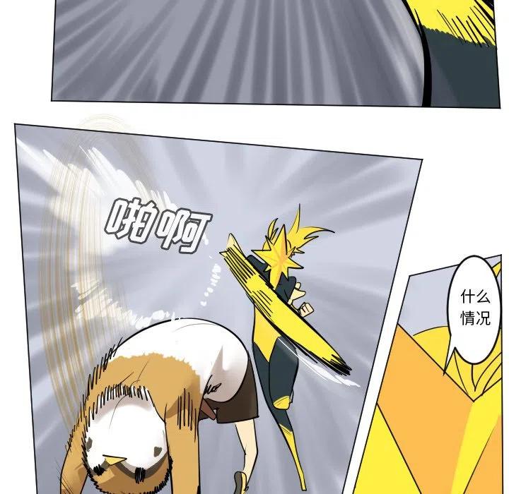 第 51 页