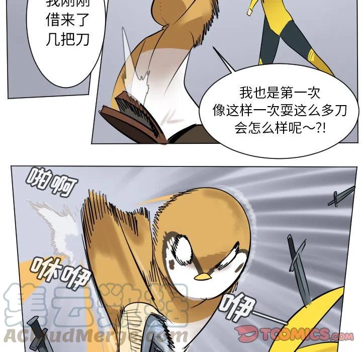 第 46 页