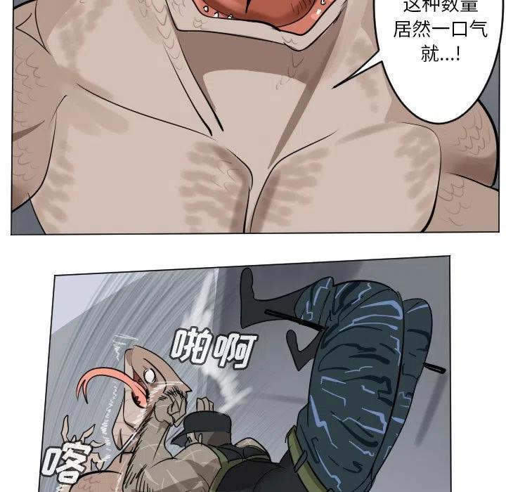 第 41 页