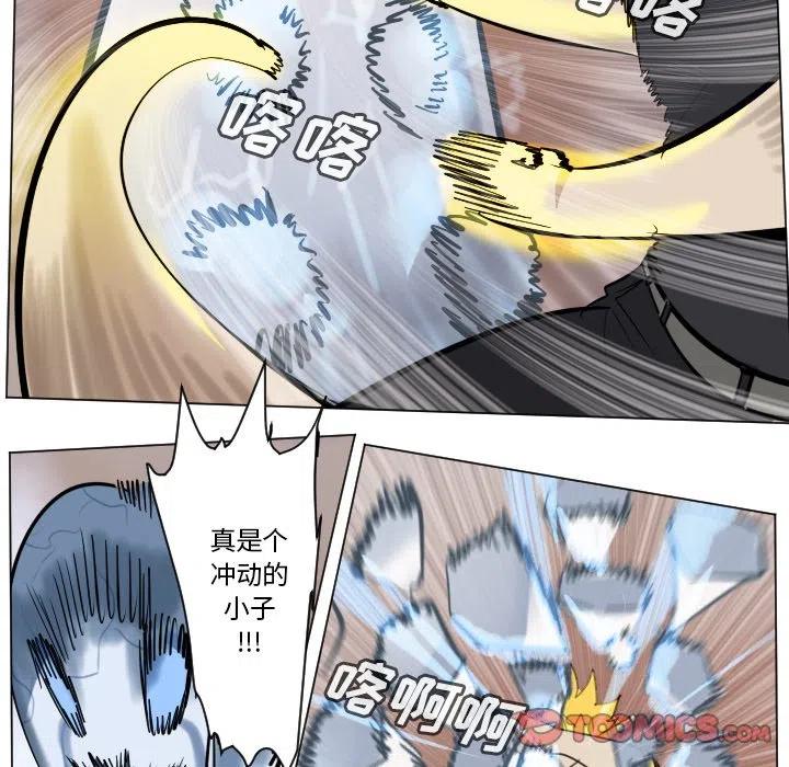 第 37 页