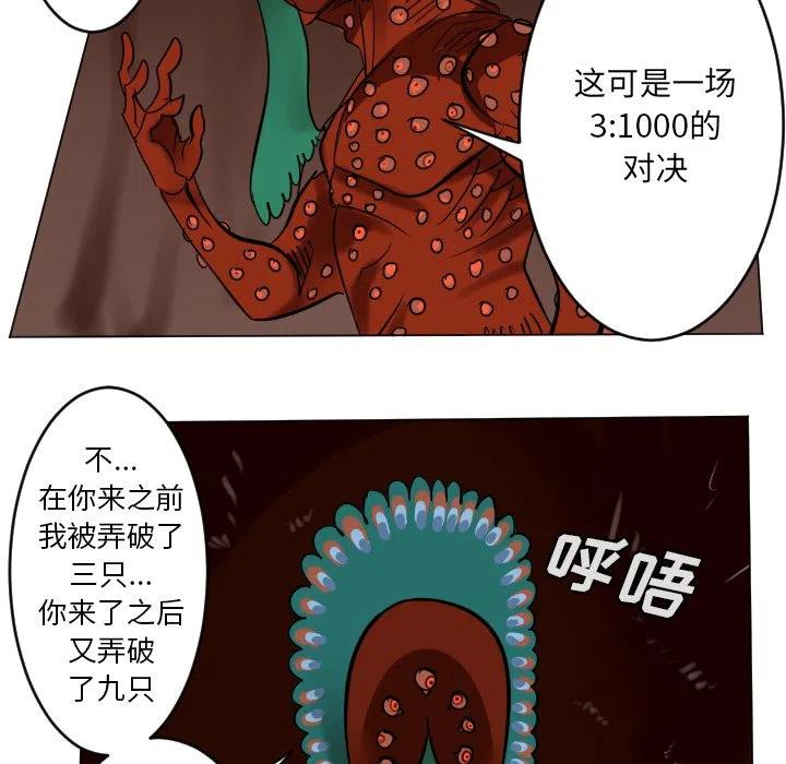 第 48 页