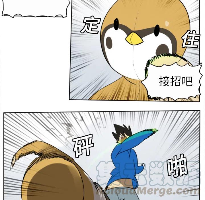 第 40 页
