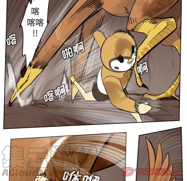 第 37 页