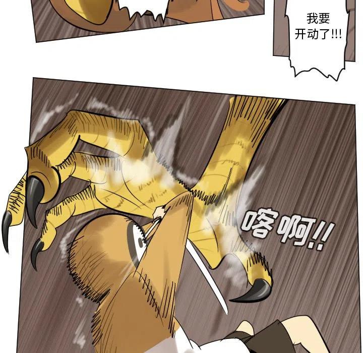 第 41 页