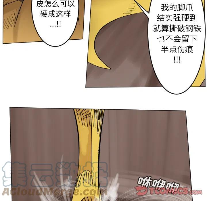 第 43 页