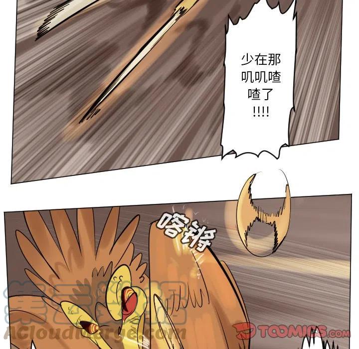 第 46 页