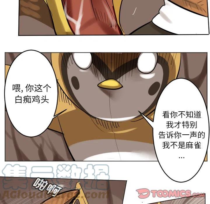 第 52 页