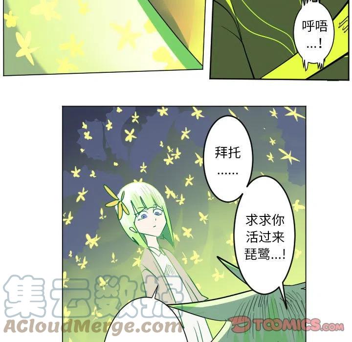 第 55 页