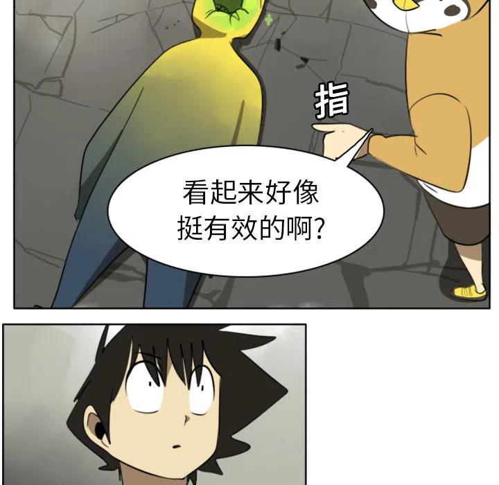 第 51 页
