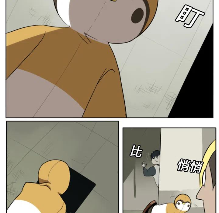 第 41 页