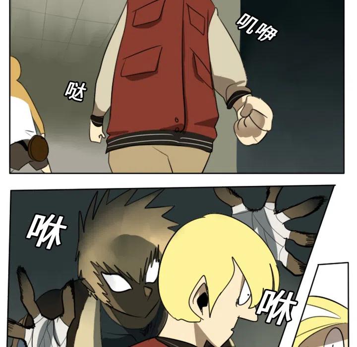 第 48 页