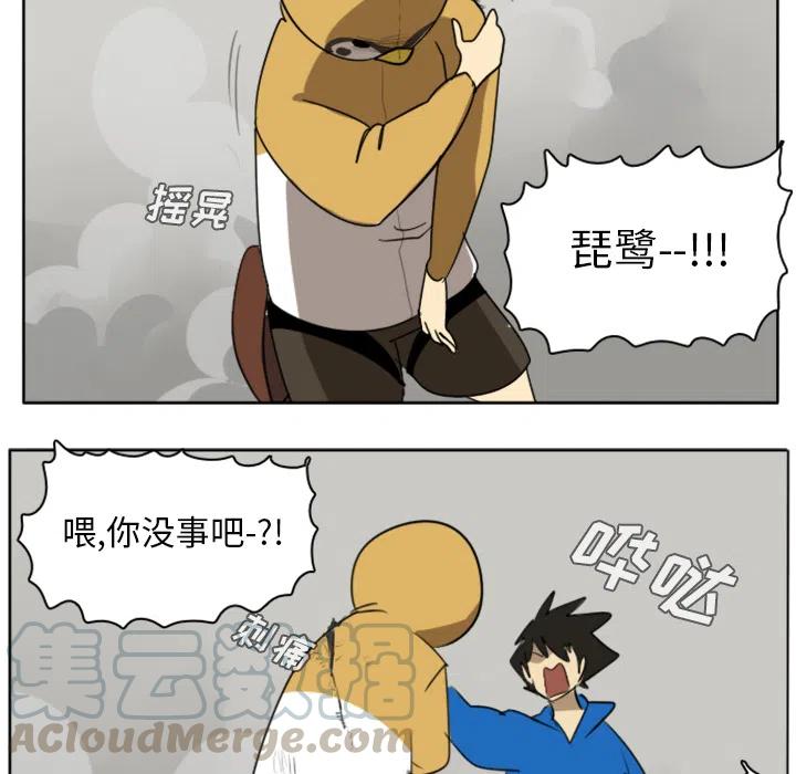 第 46 页