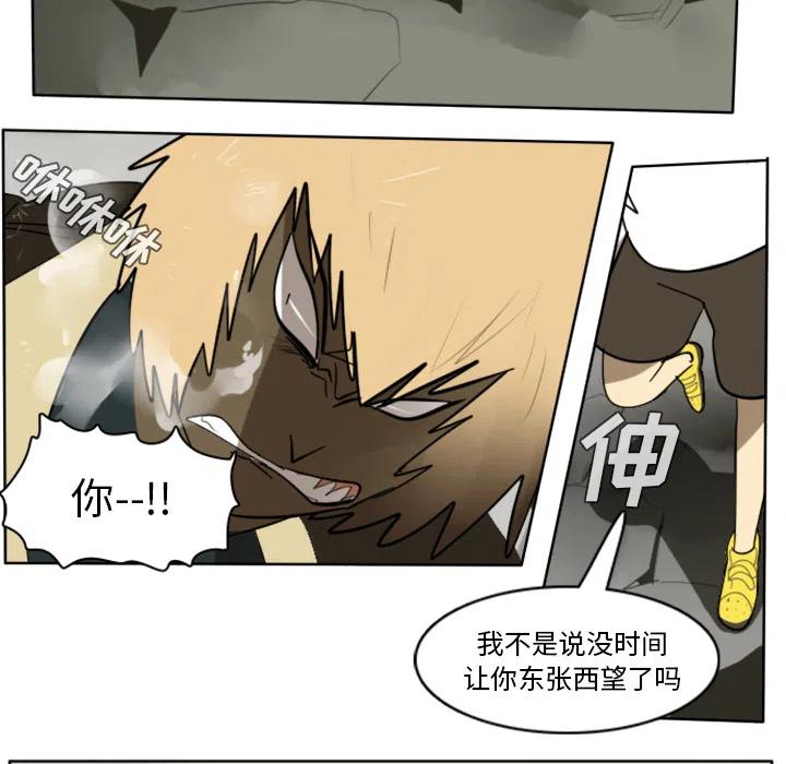 第 54 页