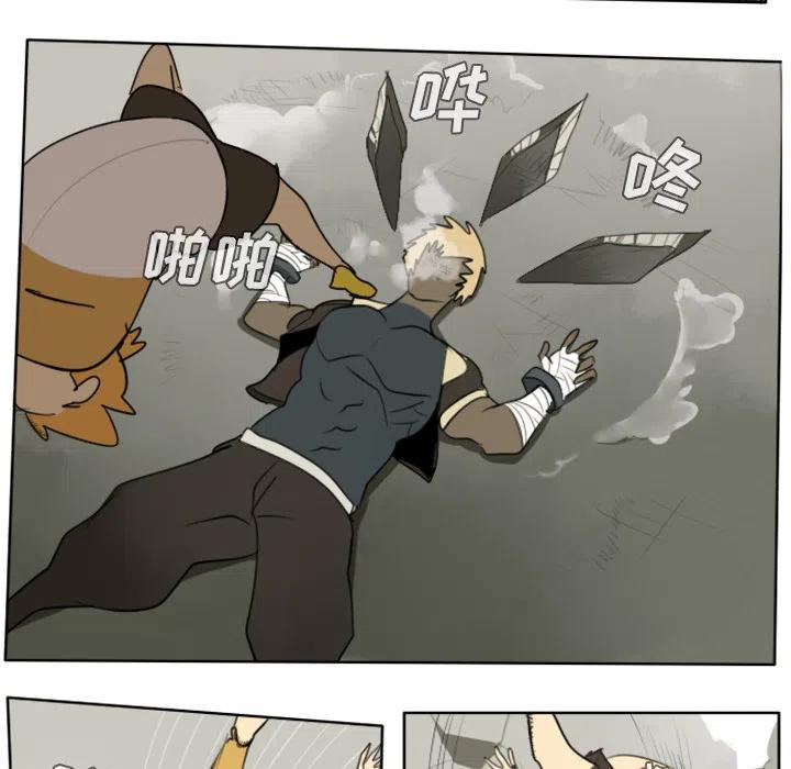 第 41 页
