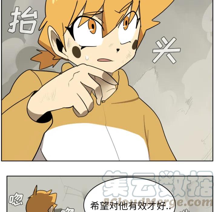 第 43 页