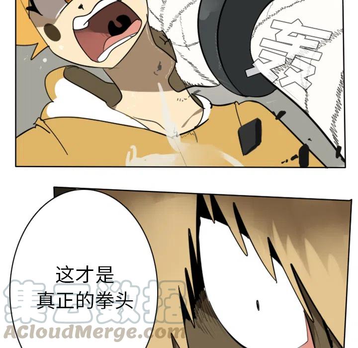 第 55 页