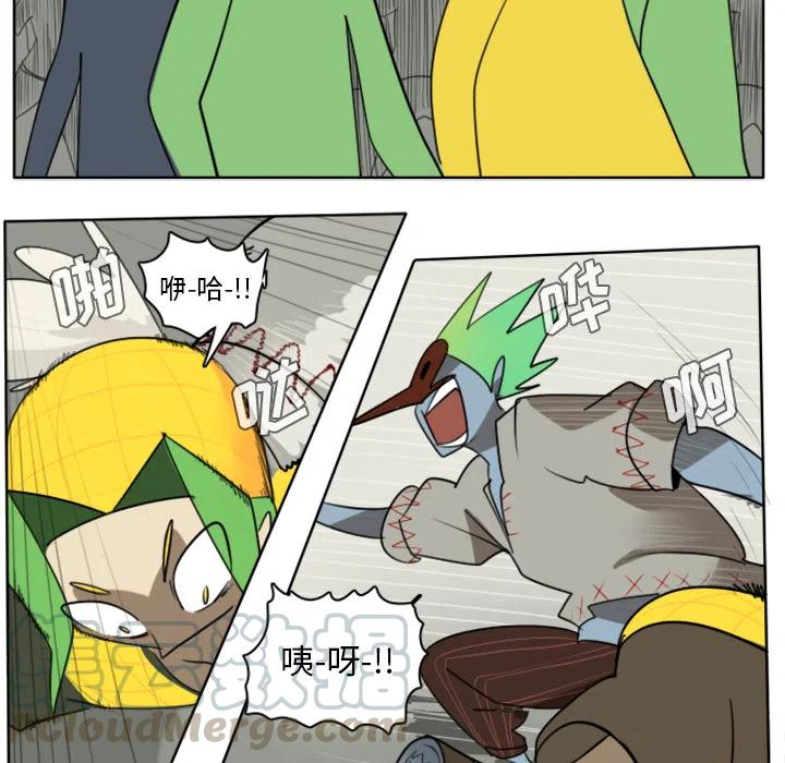 第 46 页