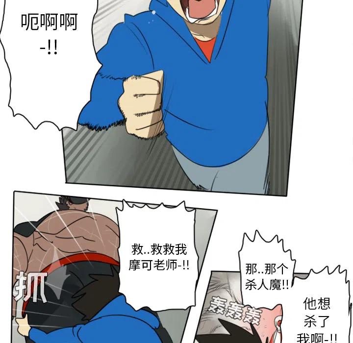 第 51 页