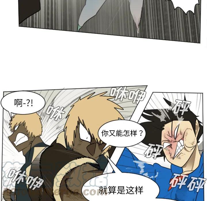 第 46 页