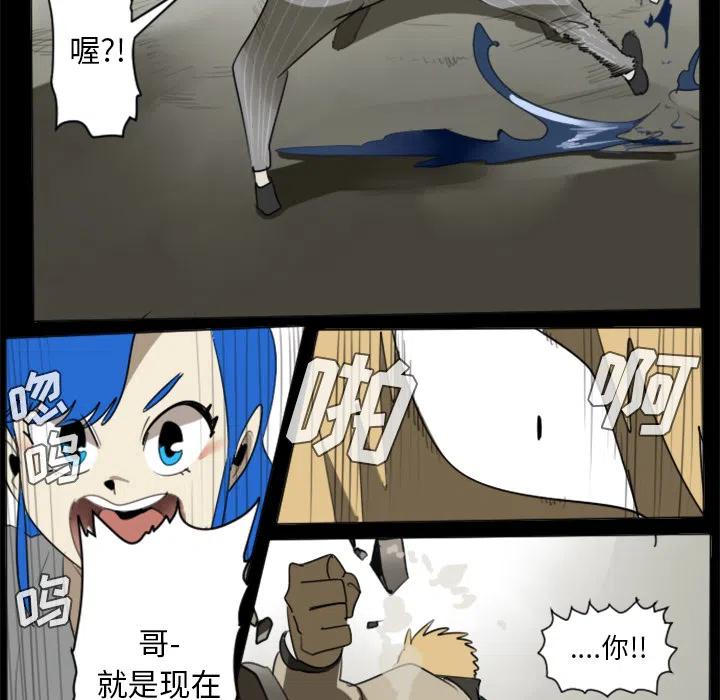 第 51 页