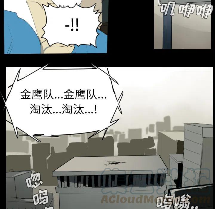 第 43 页