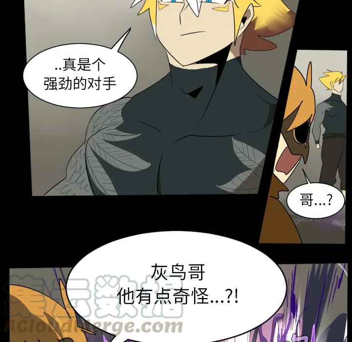 第 55 页