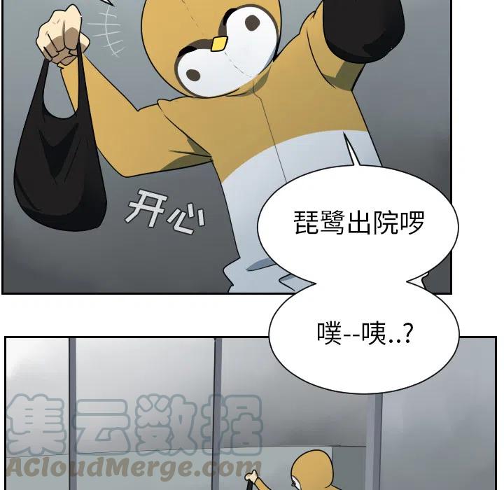 第 43 页