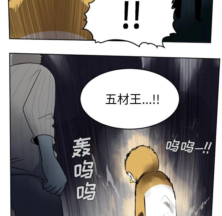 第 51 页