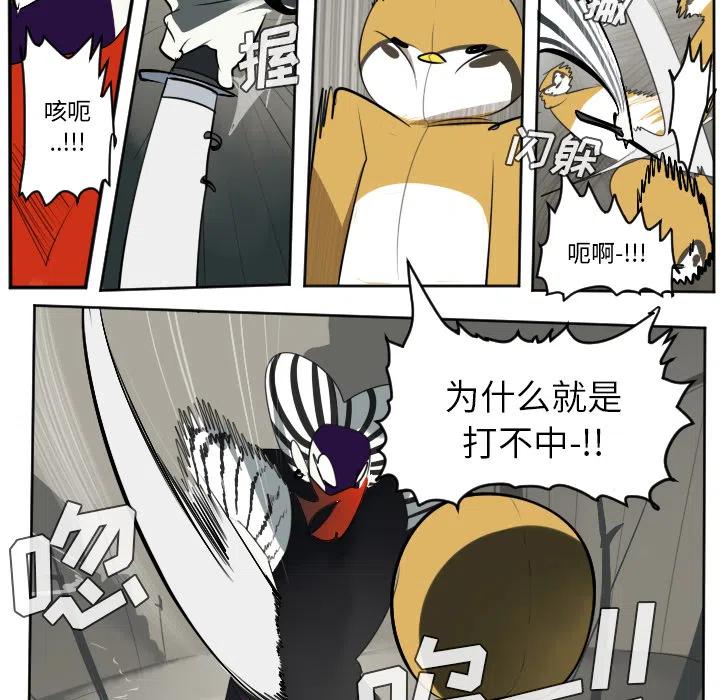 第 51 页