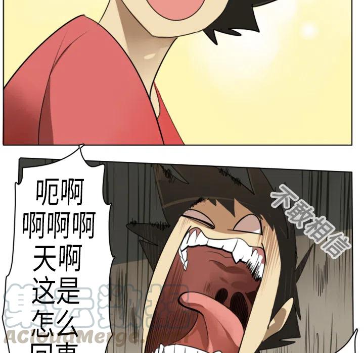 第 43 页