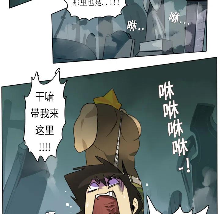 第 47 页