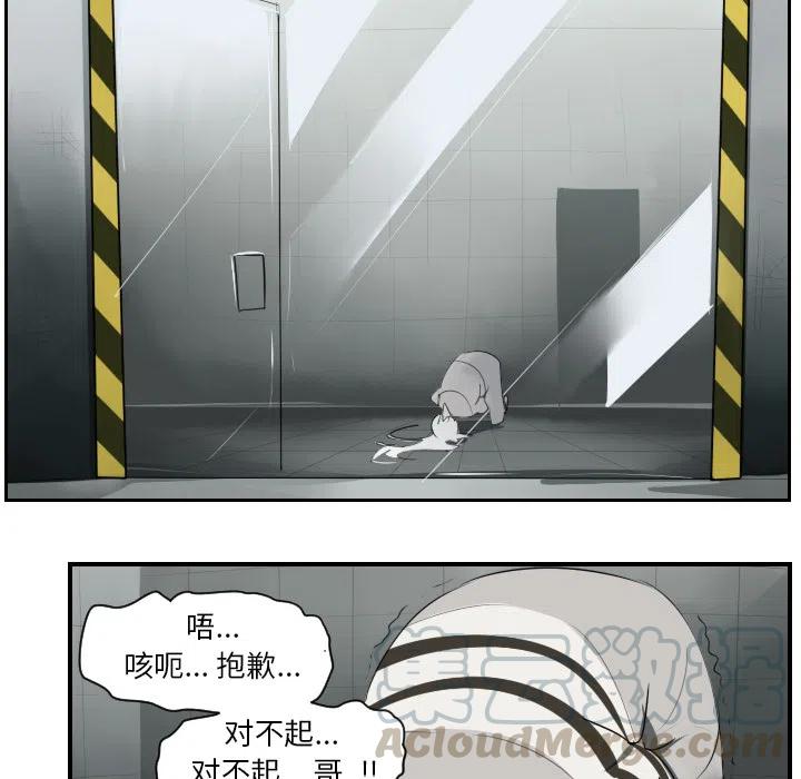 第 61 页