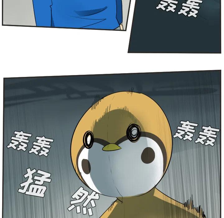 第 41 页