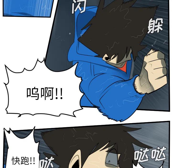 第 51 页