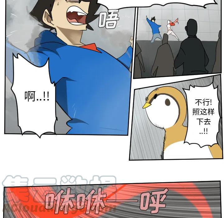 第 31 页